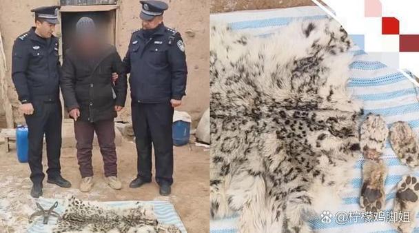呼唤动物并完成5次干净猎杀