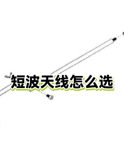 收音机是中波好还是短波好游戏截图
