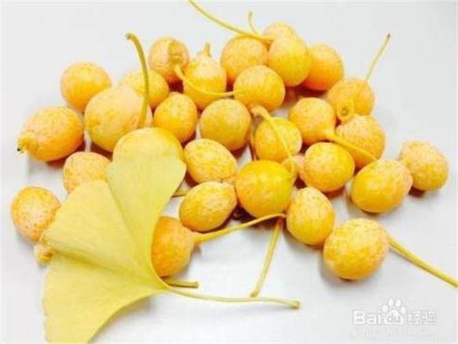 银杏果的正确吃法与禁忌