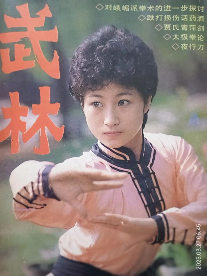 武林yingmo传