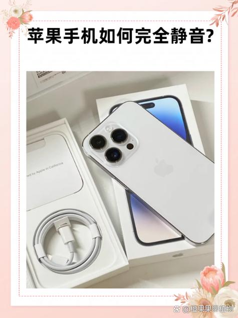 苹果6声音怎么调大图标