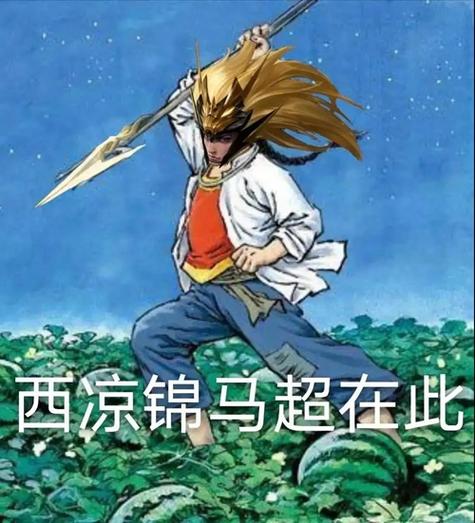 马超的表情包