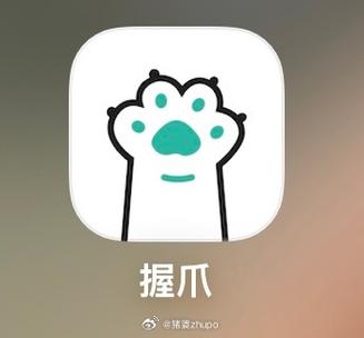 山东握爪网络技术有限公司