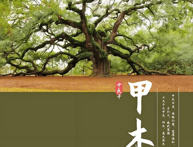 木字最旺的组合