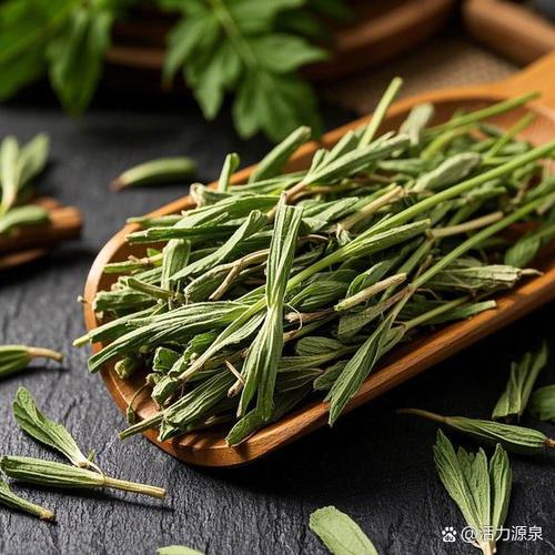 可以吃的植物