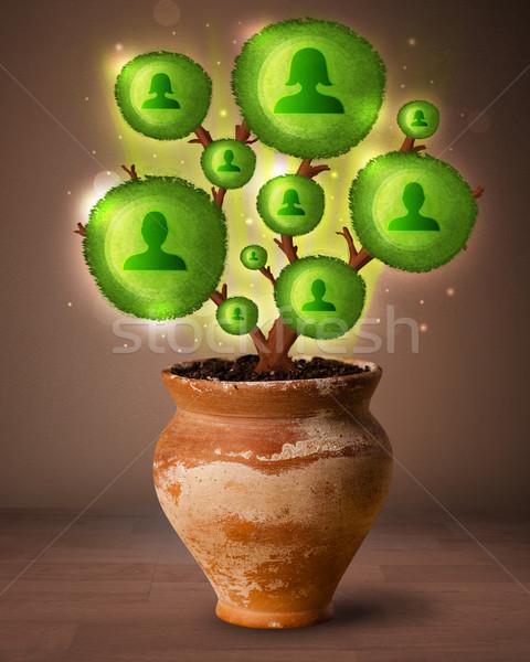 TREE(∞)有多大