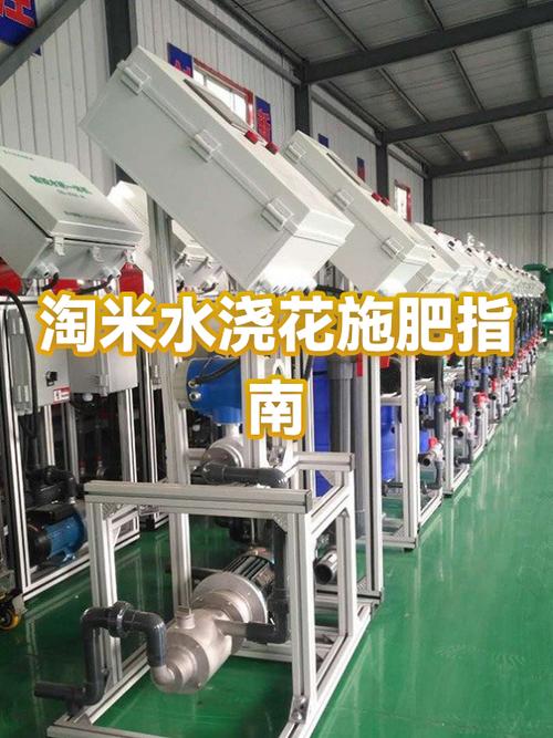 淘米一般淘几次