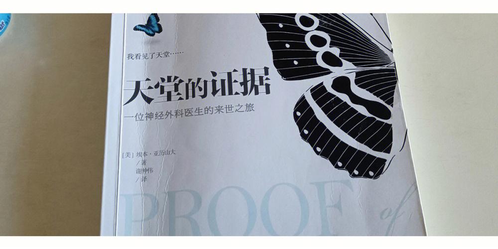天堂的人每天在干嘛