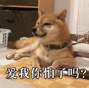 沙雕狗狗表情包gif