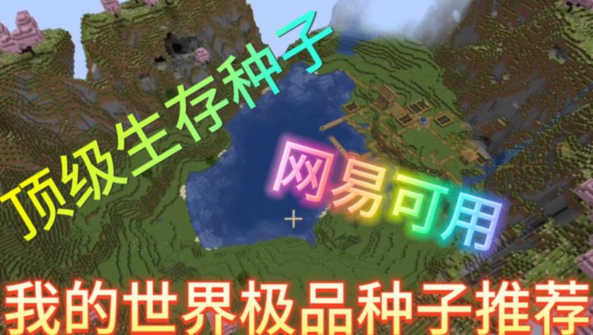 我的世界极品神种