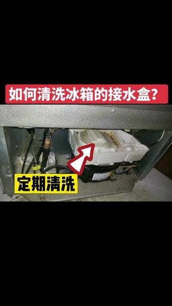 冰箱冷冻盒怎么拆下来