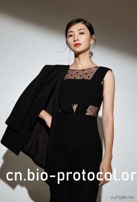 女子复仇队的悲惨花大