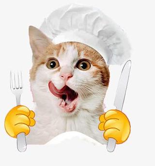 小馋猫表情包图标