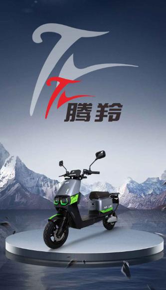 电动车关闭电源后一直响