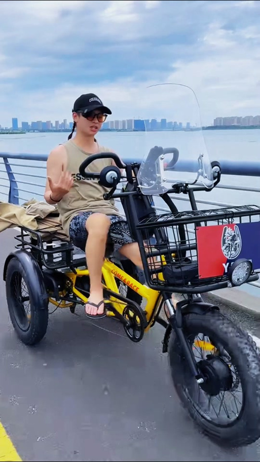 野牦牛助力三轮车