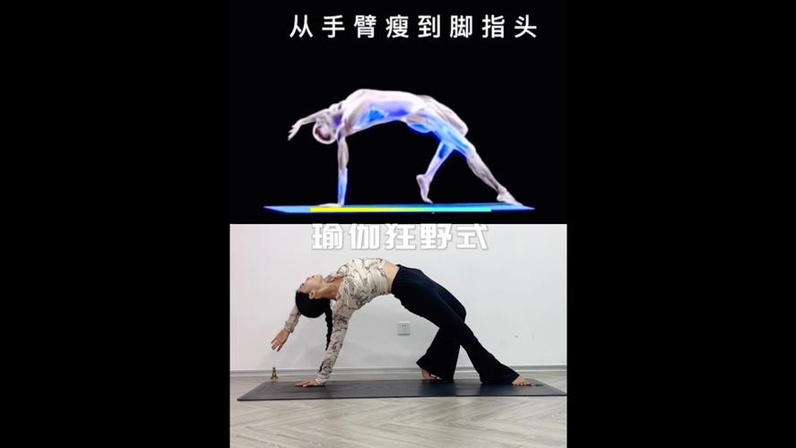 反狂野式