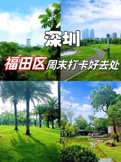 深圳4号线绿色广告视频