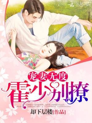 一夜锁情总裁大人宠妻无度小说