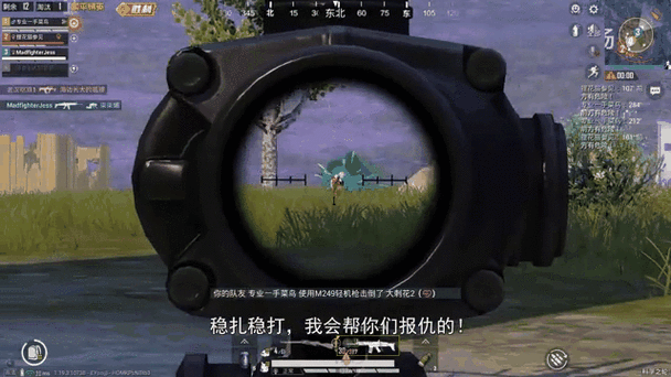 麦克吃鸡视频