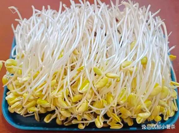 季节交替饮食注意事项缩略图