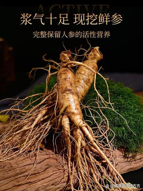 人参的功效与作用