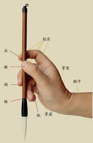 手握笔的正确姿势图标