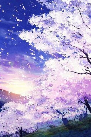 樱花动漫1.6版本图标