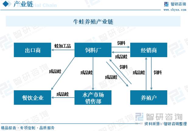 牛蛙销售渠道