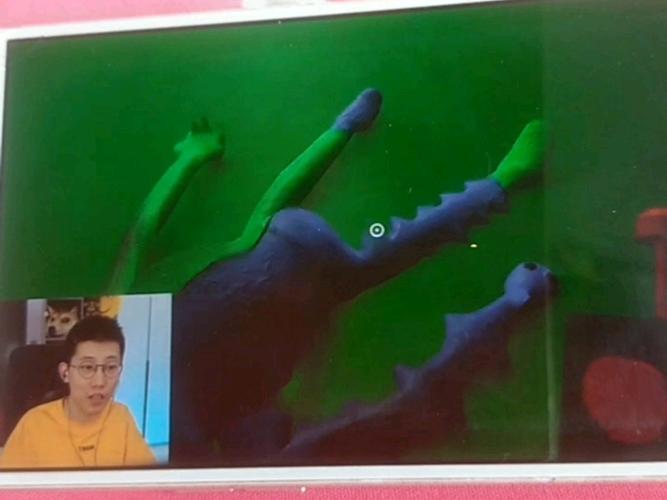 鲤鱼的斑斑幼儿园5