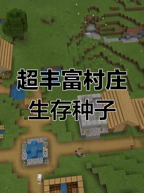 我的世界高山村庄种子