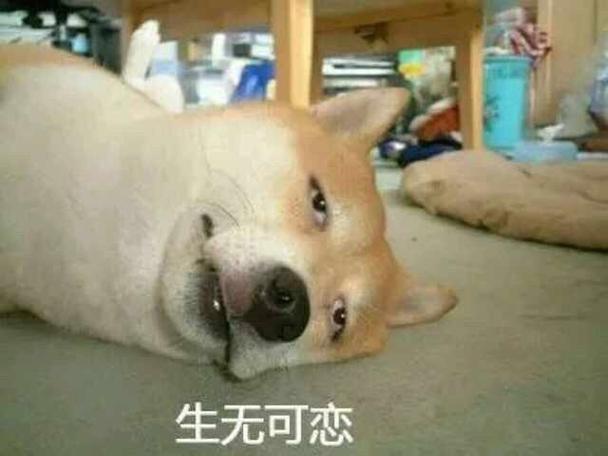 我已经生无可恋