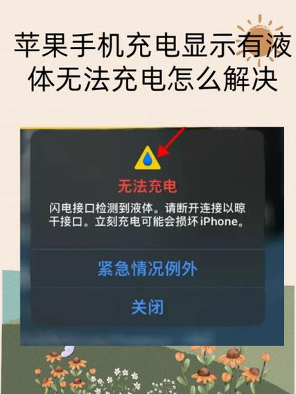 苹果充电限制解除方法截图