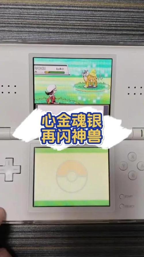 口袋妖怪心金神兽捕捉地点
