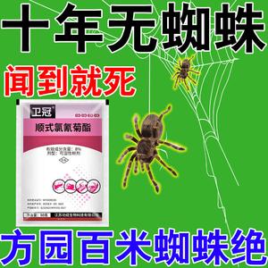 什么药可以杀死蜘蛛