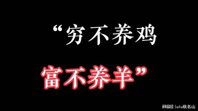 为什么穷不养鸡富不养羊
