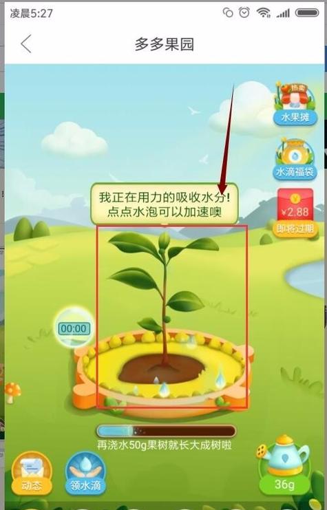多多果园水滴上限是多少