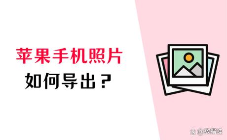 导照片