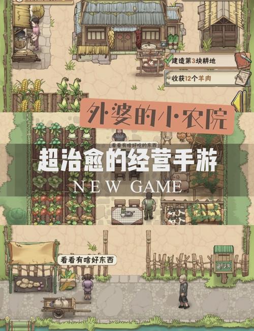 爷爷的小农院怎么进不去