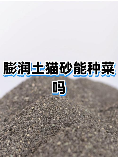 猫砂种菜的正确方法截图