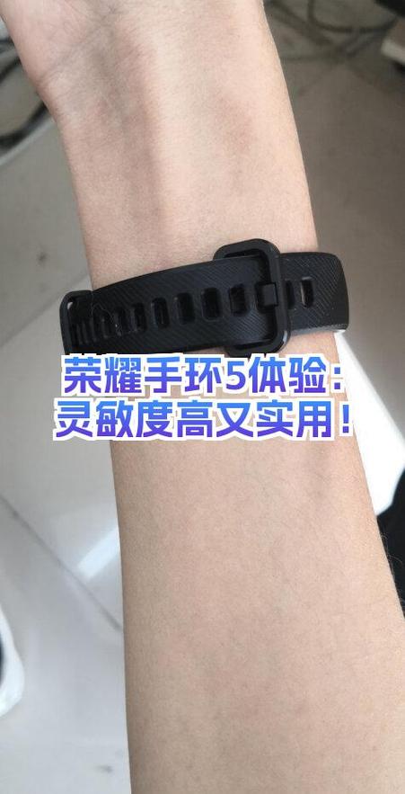 荣耀手环5有什么功能怎么用