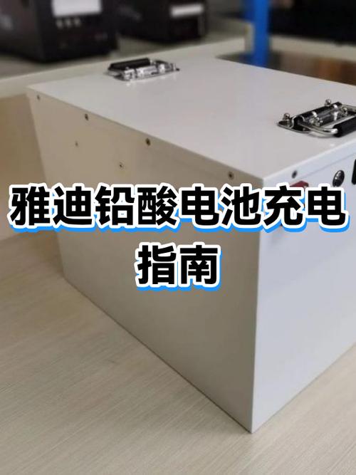 雅迪冲电口在哪