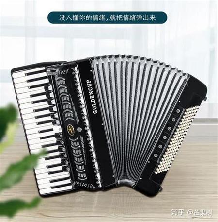 国产手风琴排名前十的品牌
