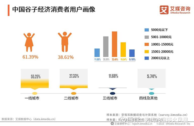 消费数据分析网