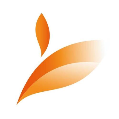 如何办理老年人免费公交卡