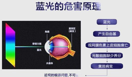 蓝光对眼睛的危害