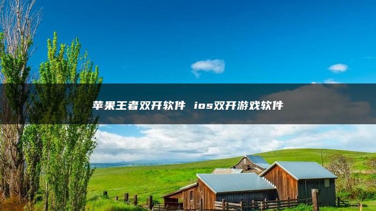 双开王者荣耀用什么软件好