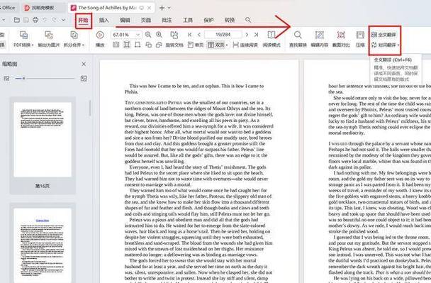 ambition翻译成中文