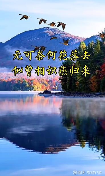 我本无心染世尘奈何花落不由人