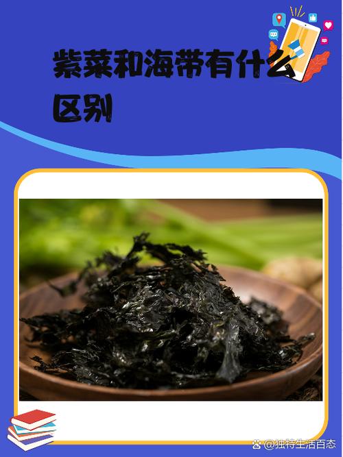 紫菜和海带有什么区别
