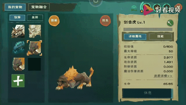 创造与魔法40级宠物哪个最强